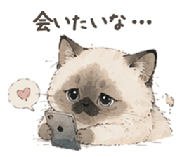 856809073