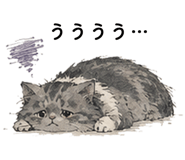 856809082