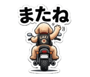 856809372