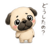 856809681