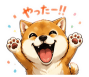 856809722