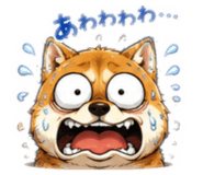 856809725