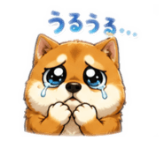 856809727