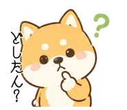 856810590