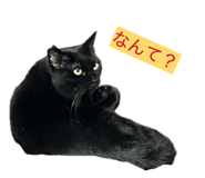 856810865