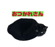 856810867