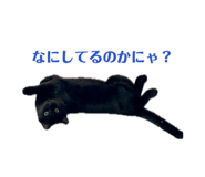 856810868