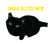 856810869