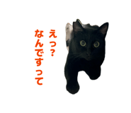 856810870
