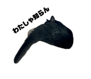 856810878