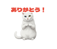 856810906