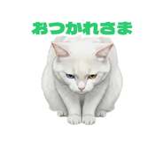 856810907