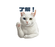 856810909