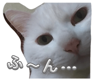 856811160