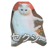 856811166