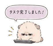 856811242