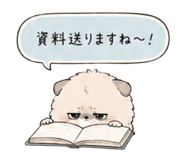856811243
