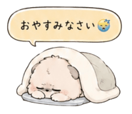 856811245
