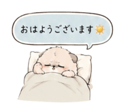 856811248