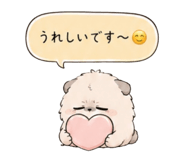 856811250