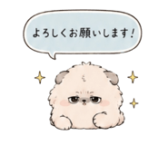 856811253