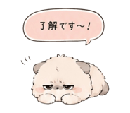 856811264