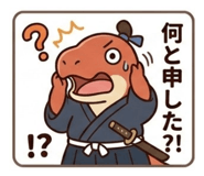 856811298