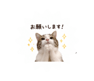 856811520