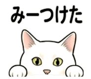 856812006
