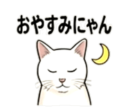 856812020