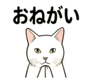 856812023
