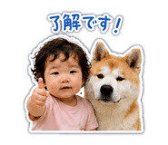 856812477