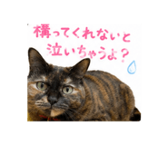 856812535