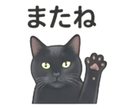856812804