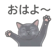 856812807