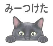 856812818