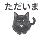 856812833