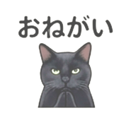 856812840