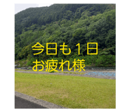 856813071
