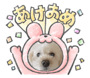 856813502