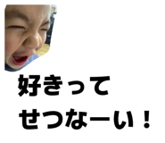 856813626