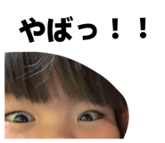 856813632