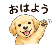 856813817