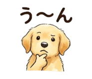 856813825