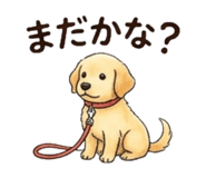 856813828