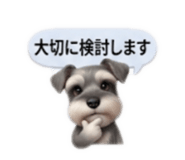 856813876