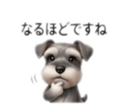 856813887