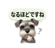 856813888