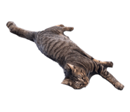856813889