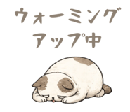 856813945